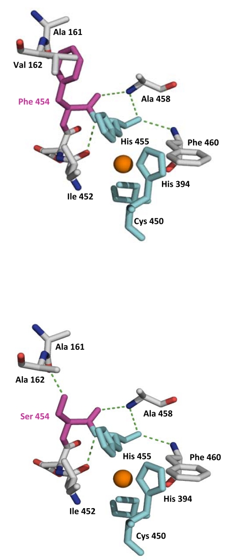 Fig. (5)