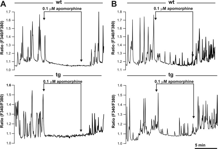 FIGURE 7.