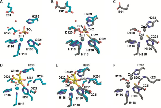 Fig 6