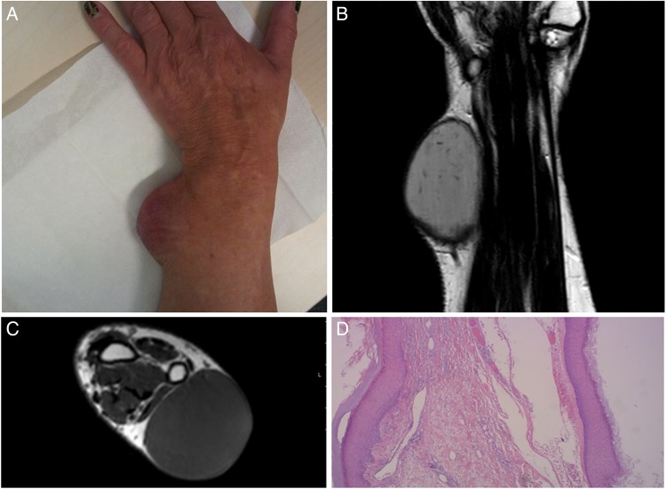 Figure 1