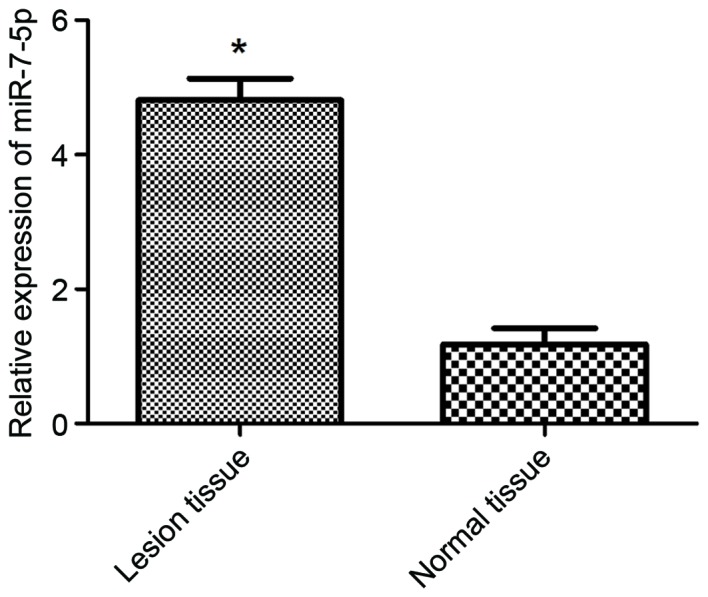 Figure 5.