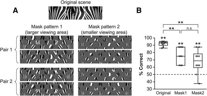 Figure 11.