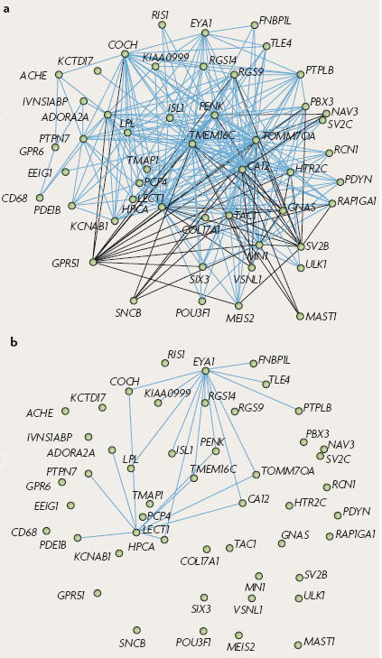 Box 4 Use of scale-free networks to study gene expression differences