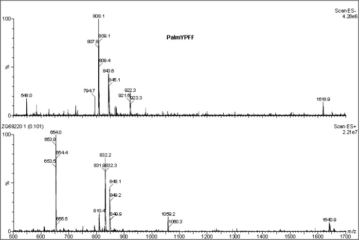 Fig. 2