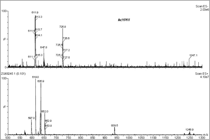 Fig. 1