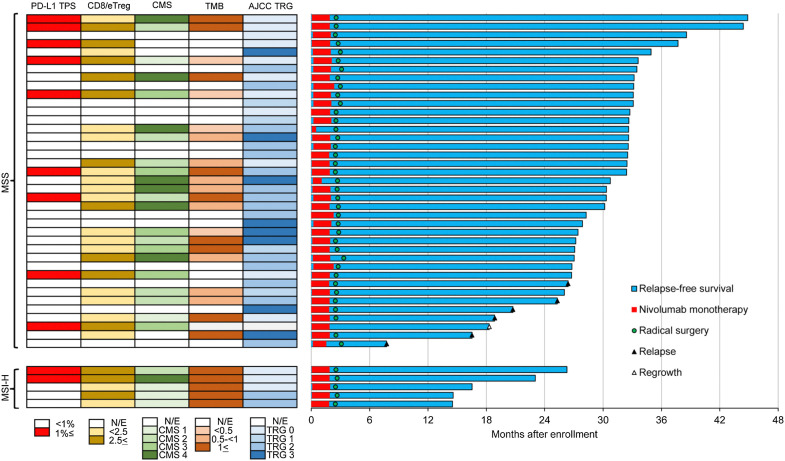 Figure 1. Representative effects of preoperative chemoradiation plus consolidation nivolumab monotherapy. Swimmer's plot of overall survival. From January 2017 to October 2019, a total of 39 patients with microsatellite stable (MSS) locally advanced rectal cancer (LARC) and 5 patients with microsatellite instability-high (MSI-H) LARC were enrolled. Radical surgery was performed for all patients, excluding one patient who declined surgery after achieving a near-complete clinical response with nivolumab. As of December 2020, six patients with MSS LARC experienced recurrence (two local and four distant), and no patients with MSI-H LARC experienced recurrence after a median follow-up of 32.9 and 17.2 months, respectively. One patient with MSS LARC died. The patient who achieved a near-complete clinical response and declined surgery experienced local regrowth and distant metastasis after 18.3 months of follow-up; there was no option for curative resection due to the multiple distant metastases.