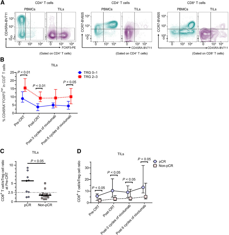 Figure 2. Comparison of effector regulatory T (eTreg) cells and CD8+ T cells in tumor infiltrating lymphocytes (TILs) between responders and non-responders. A, Peripheral blood mononuclear cells (PBMCs) and TILs were collected from 24 patients with microsatellite stable (MSS) locally advanced rectal cancer (LARC) who were enrolled in the VOLTAGE and subjected to flow cytometry. Representative flow cytometry plots are shown. Based on the expression levels of the naive T-cell markers CD45RA and FOXP3, we defined naive Treg cells (CD45RA+FoxP3loCD4+) (I), effector Treg (eTreg) cells (CD45RA−FoxP3hiCD4+) (II), and non-Treg cells (CD45RA−FoxP3loCD4+) (III). B, Percentage of eTreg cells in CD3+ T cells of TILs in patients who achieved tumor regression grade (TRG) 2–3 and in patients who achieved TRG 0–1 at four time points (pre-CRT, post-CRT, post-3 cycles of nivolumab, and post-5 cycles of nivolumab) is shown. The median and interquartile range of TRG 0–1 and TRG 2–3 patients per group, respectively, are shown. The differences between the two groups of patients were compared using a Mann-Whitney U test. C, The CD8+ T cell/eTreg cell (CD8/eTreg) ratios in TILs in patients who achieved pathologic complete response (pCR) and in patients who achieved non-pCR at the pre-CRT time point are shown. The differences between the two groups of patients were compared using a Mann-Whitney U test. D, The CD8/eTreg ratios in TILs in patients who achieved pCR and in patients who achieved non-pCR at four time points (pre-CRT, post-CRT, post-3 cycles of nivolumab, and post-5 cycles of nivolumab) are shown. The median and interquartile range of pCR and non-pCR patients per group, respectively, are shown. The differences between the two groups of patients were compared using a Mann-Whitney U test. Naive (CCR7+CD45RA+); CM, central memory (CCR7+CD45RA−); EM, effector memory (CCR7−CD45RA−); TEMRA, terminally differentiated effector memory (CCR7−CD45RA+).