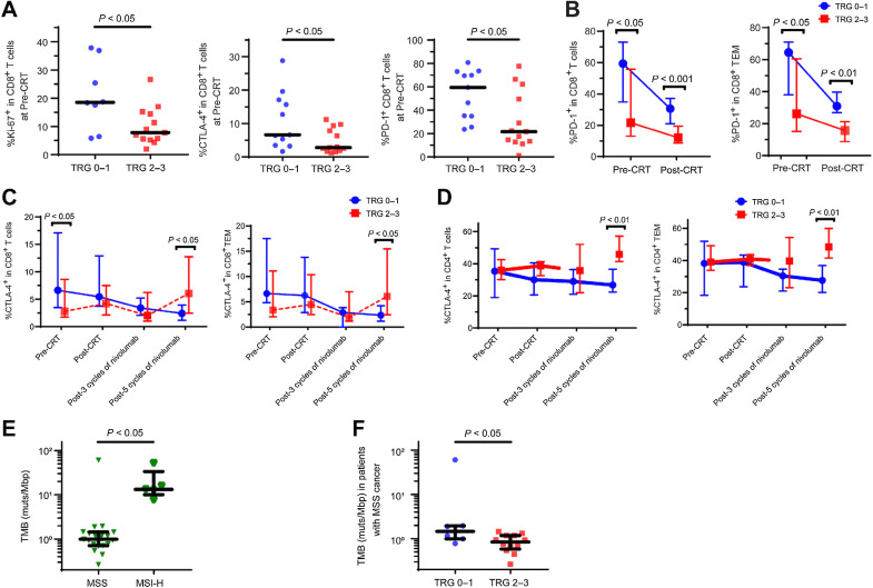 Figure 3. Ki-67, PD-1, and CTLA-4 expression by CD8+ and CD4+ T cells in TILs in MSS LARC group and TMB in both the MSS LARC and MSI-H LARC groups. A, Ki-67, PD-1, and CTLA-4 expression by CD8+ T cells in tumor infiltrating lymphocytes (TILs) in patients who achieved tumor regression grade (TRG) 0–1 and in patients who achieved TRG 2–3 at pre-CRT are shown. The differences between the two groups of patients were compared using a Mann-Whitney U test. B, PD-1 expression by both CD8+ T cells and effector memory cells (TEM) in TILs in patients who achieved TRG 0–1 and in patients who achieved TRG 2–3 at both the pre-CRT and post-CRT time are shown. The differences between the two groups of patients were compared using a Mann-Whitney U test. Because PD-1 expression could not be correctly evaluated during nivolumab therapy due to crossing with the PD-1 antibody, the data obtained after nivolumab therapy are not shown. C, CTLA-4 expression by both CD8+ T cells and the TEM subset in TILs in patients who achieved TRG 0–1 and in patients who achieved TRG 2–3 at four time points (pre-CRT, post-CRT, post-3 cycles of nivolumab, and post-5 cycles of nivolumab) are shown. The differences between the two groups of patients were compared using a Mann-Whitney U test. D, CTLA-4 expression by both CD4+ T cells and the TEM subtype in TILs in patients who achieved TRG 0–1 and in patients who achieved TRG 2–3 at four time points (pre-CRT, post-CRT, post-3 cycles of nivolumab, and post-5 cycles of nivolumab) are shown. The differences between the two groups of patients were compared using a Mann-Whitney U test. E, The tumor mutational burden (TMB) in pre-CRT samples in patients with microsatellite instability-high (MSI-H) locally advanced rectal cancer and in patients with microsatellite stable (MSS) LARC is shown (median 13.2/Mbp vs. median 0.99/Mbp). The differences between the two groups of patients were compared using a Mann-Whitney U test. F, The TMB in pre-CRT samples in patients with MSS LARC who achieved TRG 0–1 (median 1.45 mutations/Mbp) and in patients who achieved TRG 2–3 (median 0.84 mutations/Mbp) is shown. The differences between the two groups of patients were compared using a Mann-Whitney U test. TEM, effector memory (CCR7−CD45RA−).