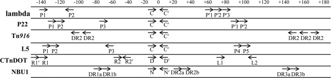 Fig 9