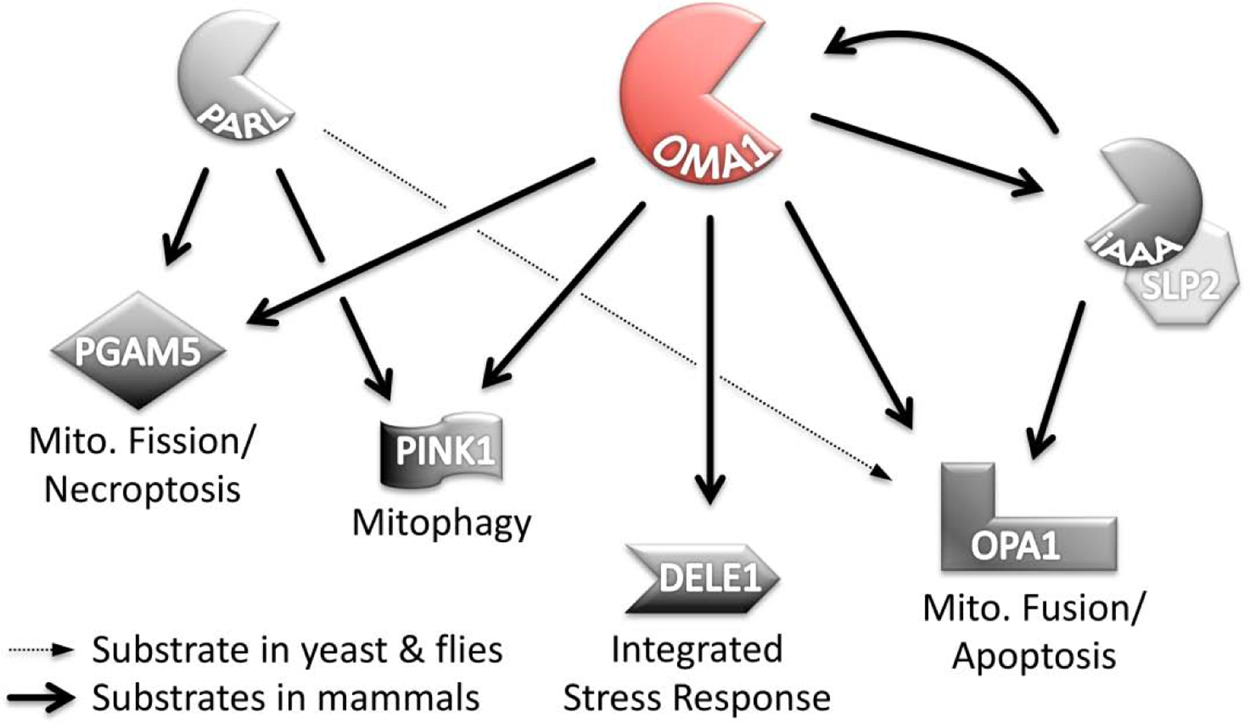 Figure 1: