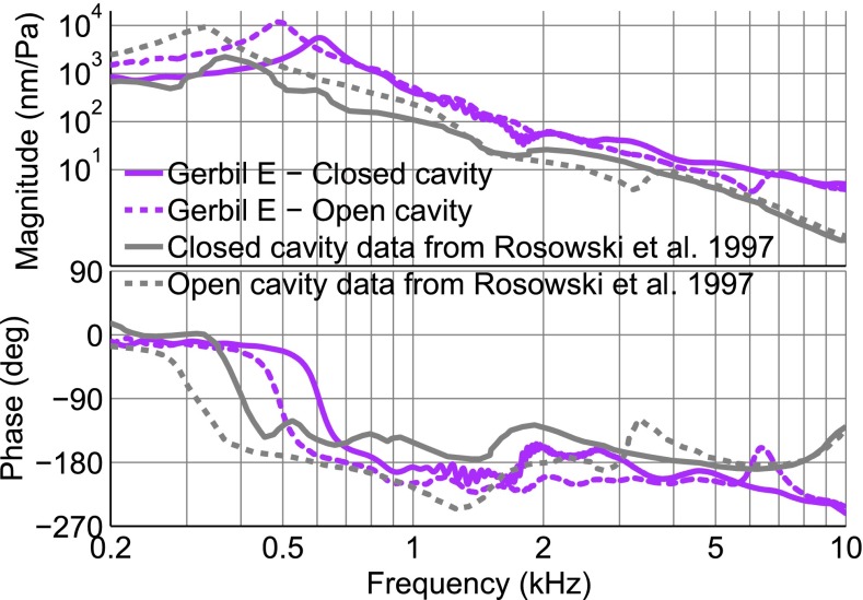 FIG. 6