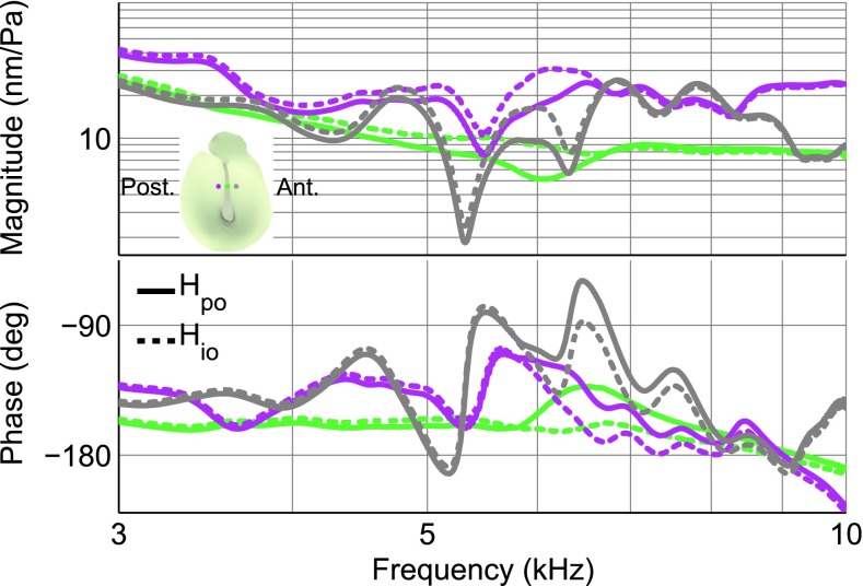 FIG. 19