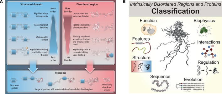 Figure 10.