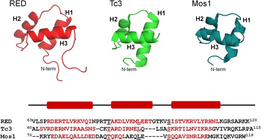 Figure 4