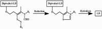 Scheme 2