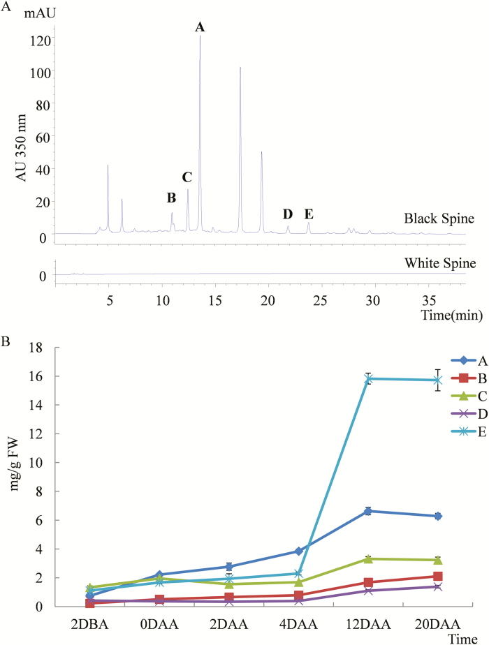 Fig. 3.