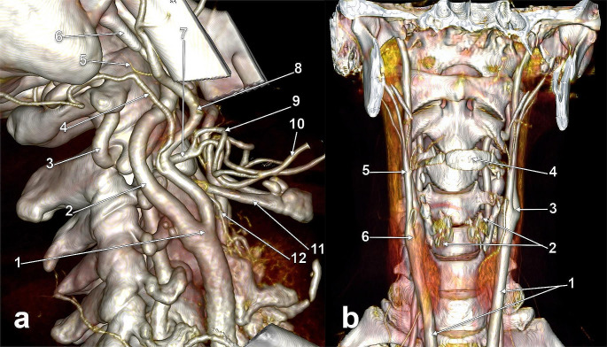 Fig. 7