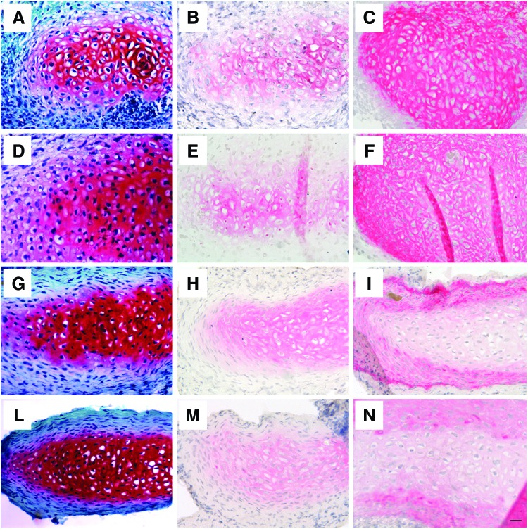 FIG. 4.