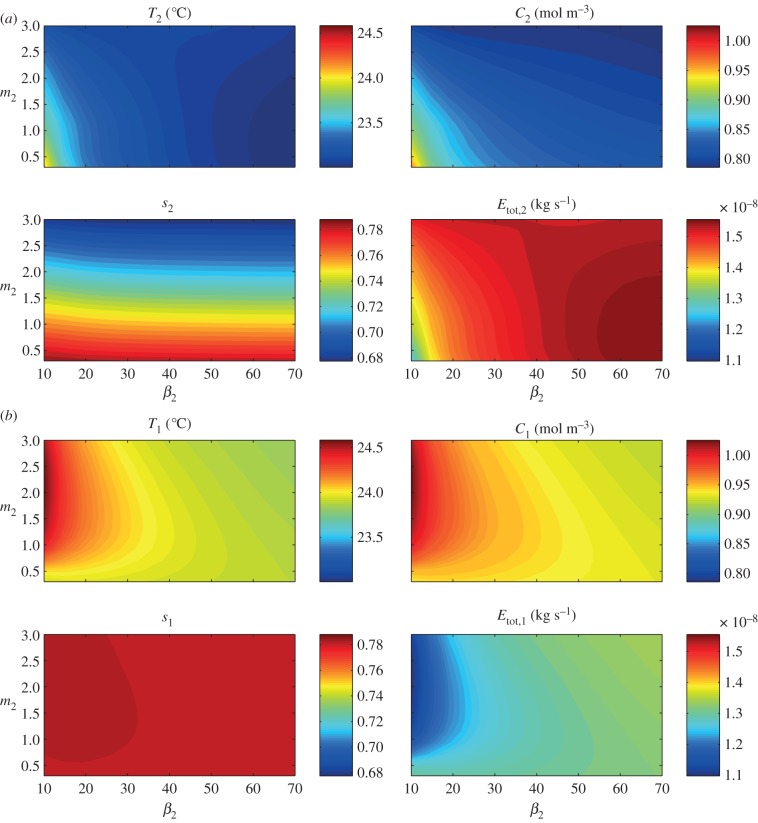 Figure 11.