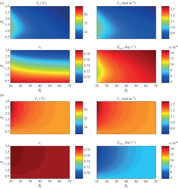 Figure 12.