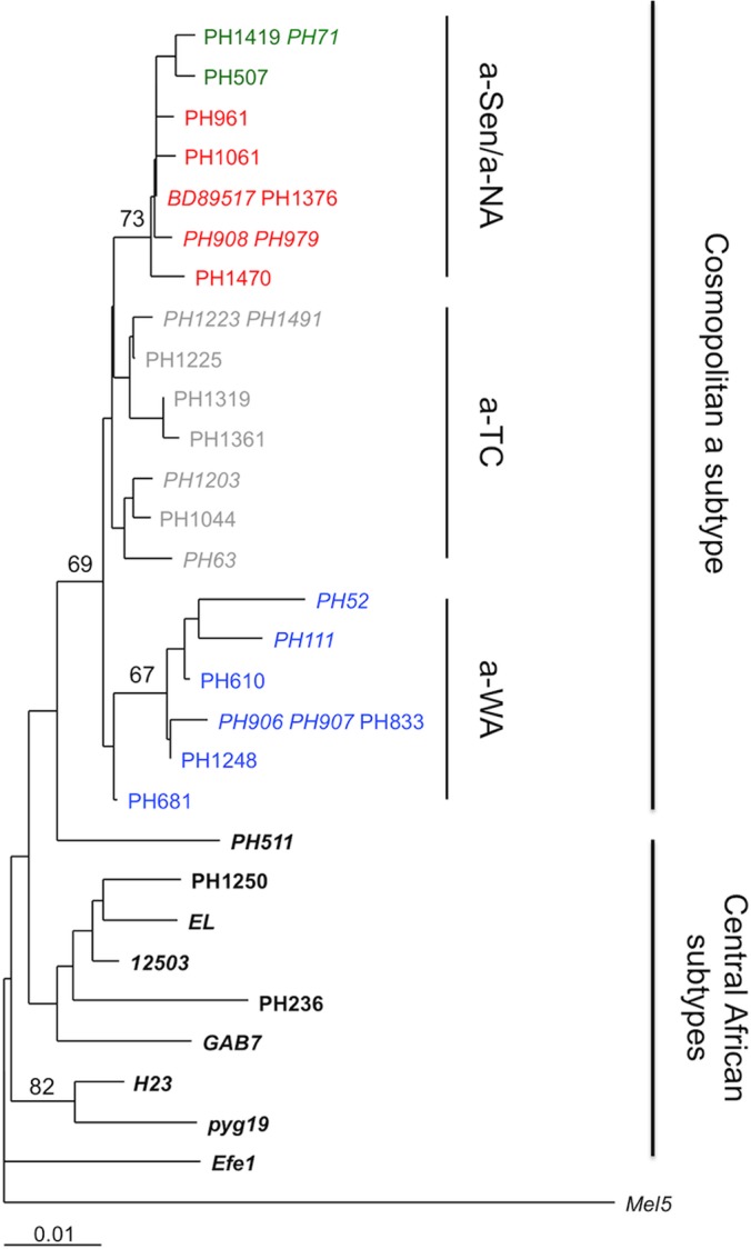 FIG 3