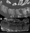 Fig. 3.