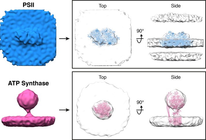 Figure 2—figure supplement 2.