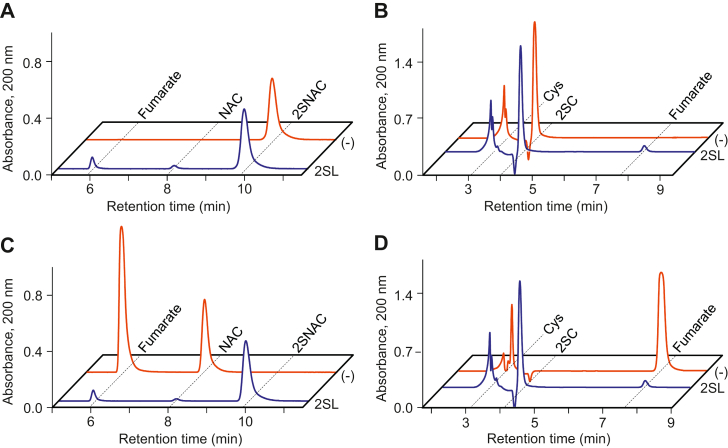 Figure 4