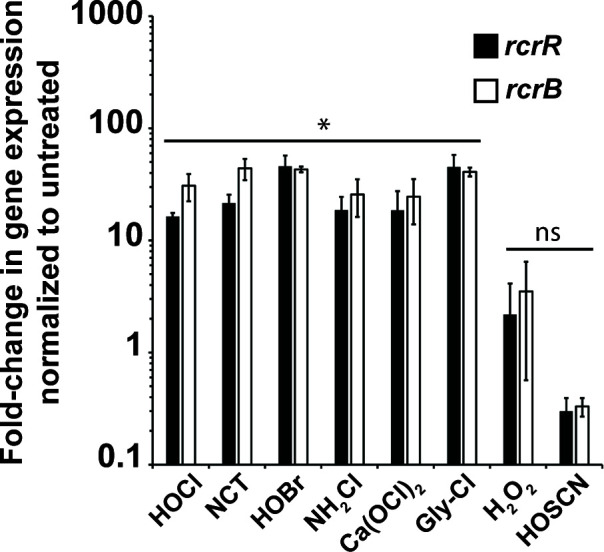 Fig 7