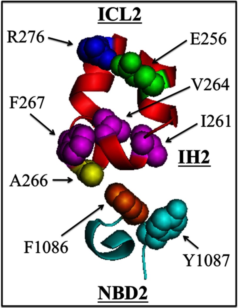 FIGURE 7.