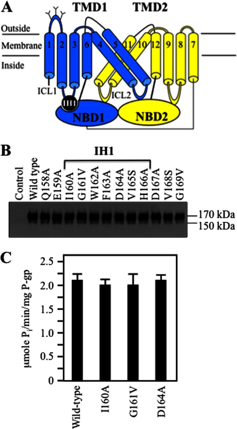 FIGURE 2.