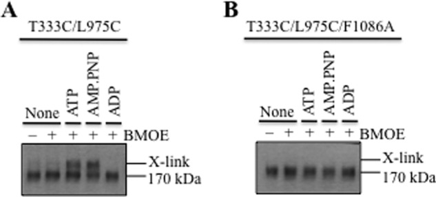 FIGURE 4.