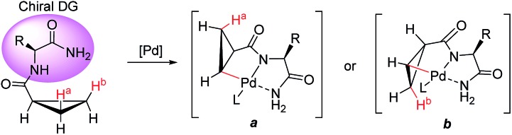 Scheme 1