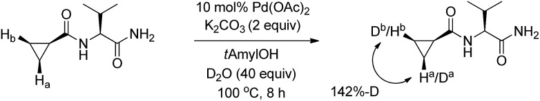 Scheme 4