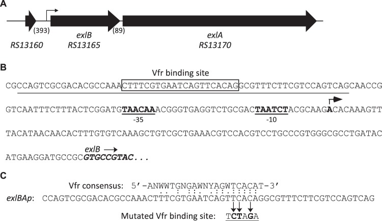 FIG 1