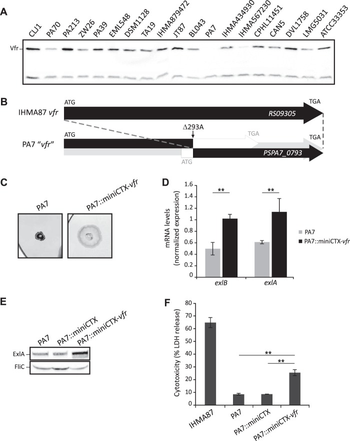 FIG 6