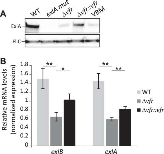 FIG 2