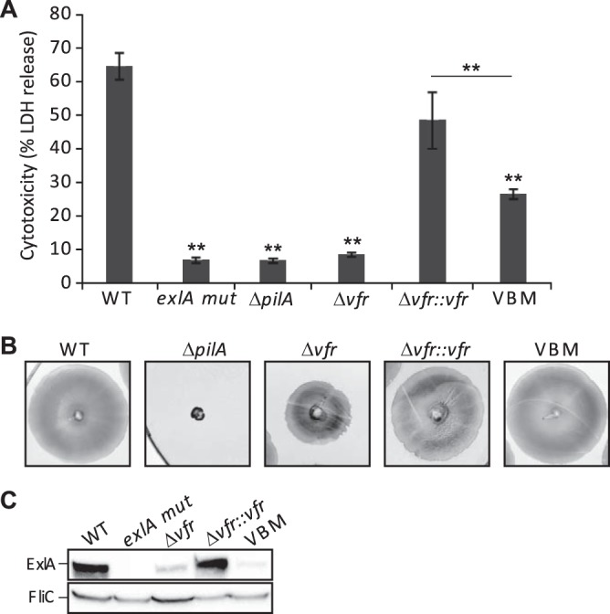 FIG 4