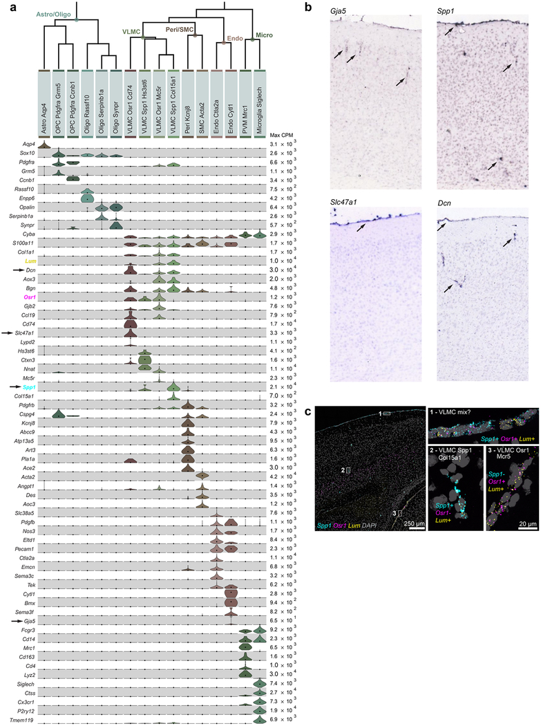 Extended Data Fig. 9 |