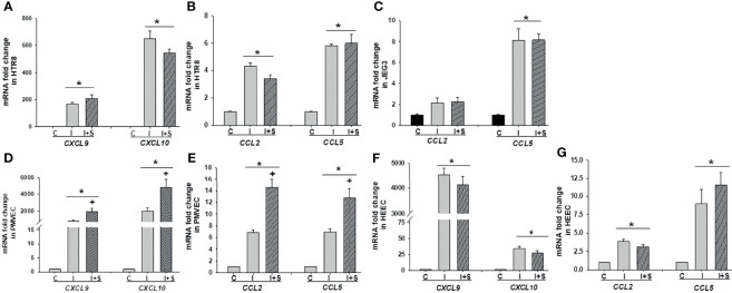 Figure 6