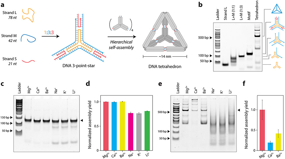 Figure 2.