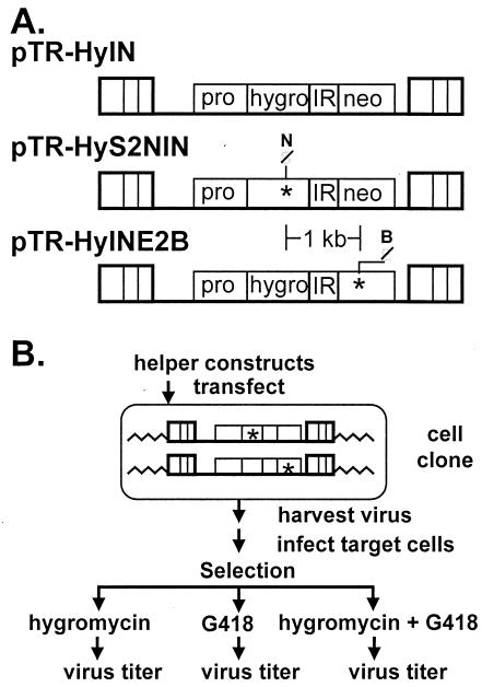 FIG. 1.