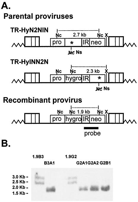 FIG. 4.