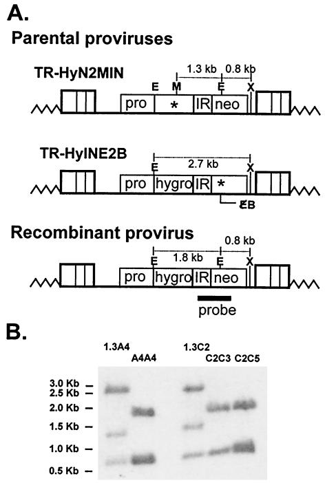 FIG. 3.