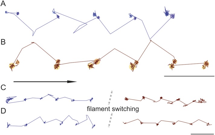 Figure 7.