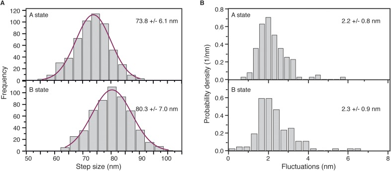 Figure 4—figure supplement 1.