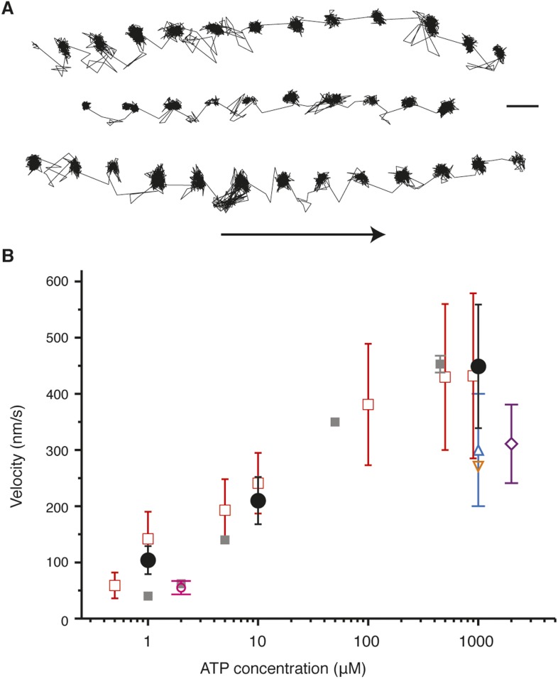 Figure 1—figure supplement 1.