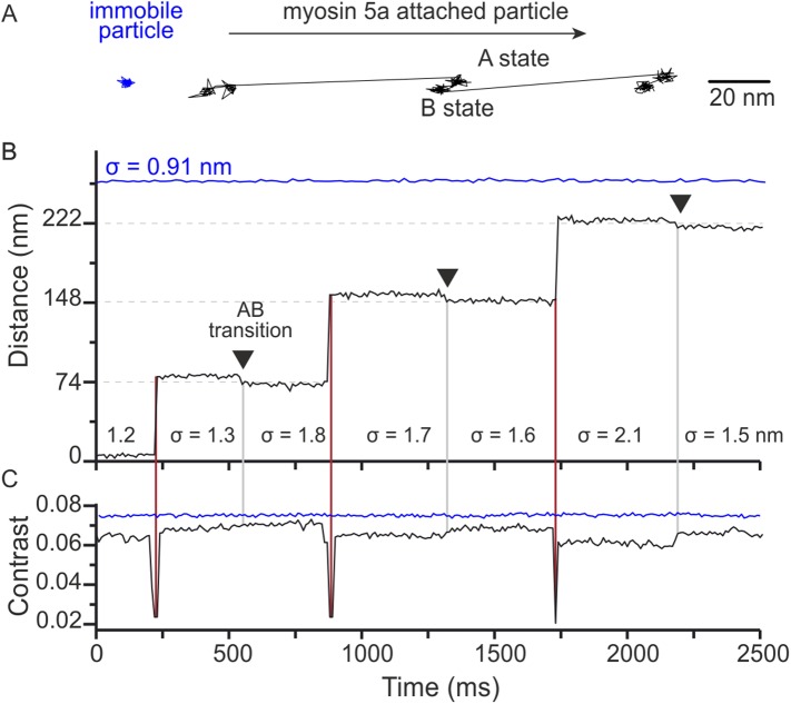 Figure 4.