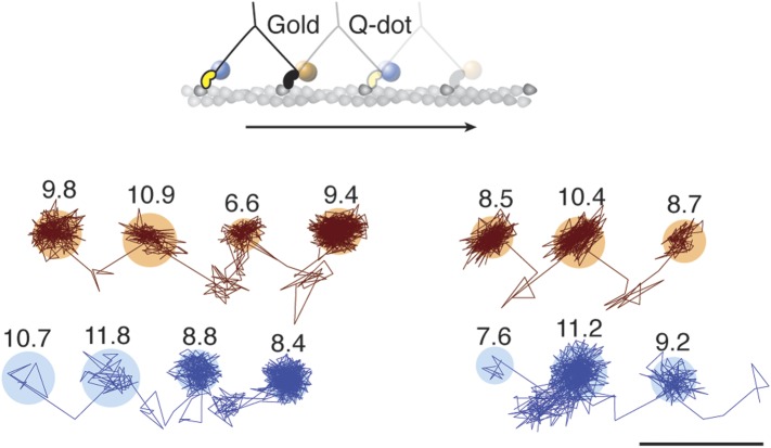 Figure 3.