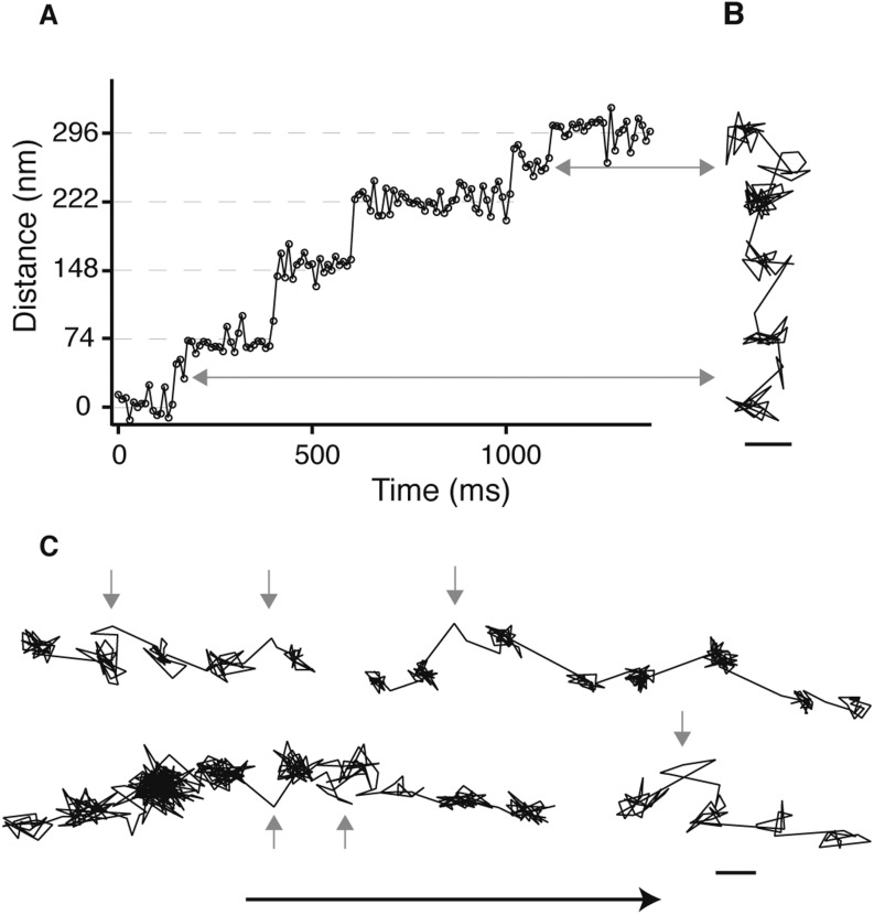 Figure 1—figure supplement 2.